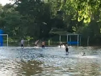 Rio transborda, invade campo de futebol e leva jacaré a área urbana de Aquidauana