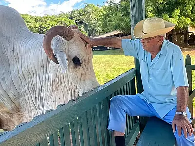 Pecuária brasileira se despede de Chico Ventania, pioneiro da raça Nelore