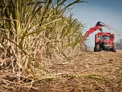 Mato Grosso do Sul avança na produção de etanol e sustentabilidade no setor bioenergético
