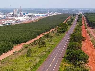Rota da Celulose: Projeto robusto deve retornar ao mercado no primeiro trimestre de 2025