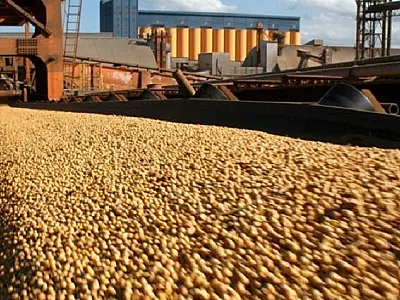 Soja mantém liderança nas exportações de Mato Grosso do Sul em 2024
