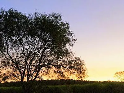 Possibilidade de chuva e temperaturas altas em Mato Grosso do Sul nesta quinta-feira
