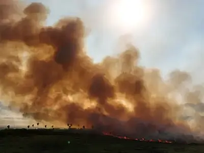 Chuva prevista pode amenizar crise de incêndios no Pantanal