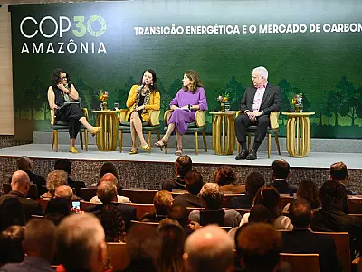 Plano para implementar mercado de carbono sai em julho, anuncia Fazenda