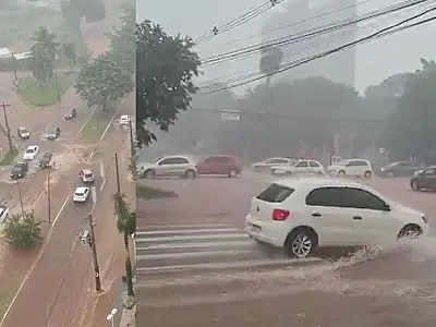 Temporal em Campo Grande gera quase 50 chamados por queda de árvores