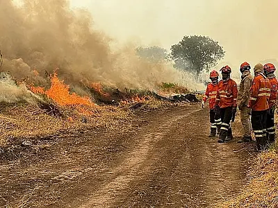 Pantanal em chamas leva Corumbá a decretar situação de emergência
