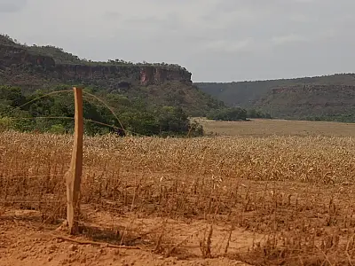 Fronteira Cerrado: acesso desigual ao Estado agrava conflitos agrários
