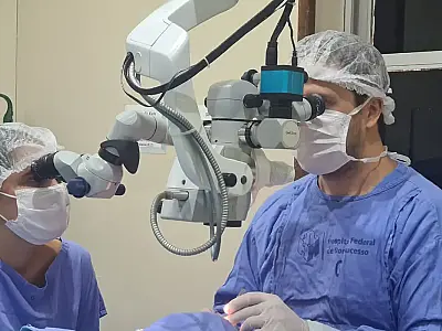 Tempo de espera por transplante de córnea no Brasil dobra em 10 anos

