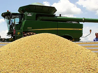 Soja e celulose impulsionam exportações de Mato Grosso do Sul