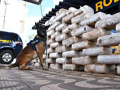 Apreensões de cocaína em rodovias federais de MS: 2023 já supera total de 2022