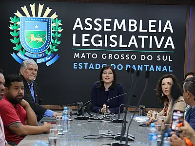 Simone Tebet defende reforma agrária pacificada e uso de áreas da União em MS