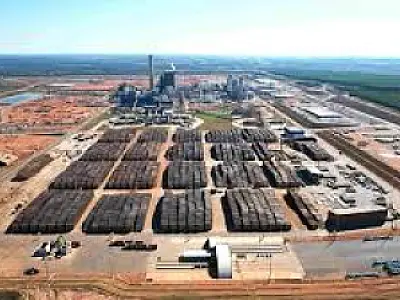 Suzano abre seleção para quatro cargos em megafábrica de celulose em MS