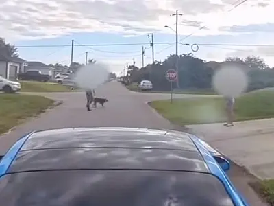 Mulher arremessa carro contra homem e cachorro; ataque é filmado