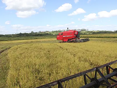 Novas medidas de reforma agrária propostas por Lula incluem compra de terras e crédito rural