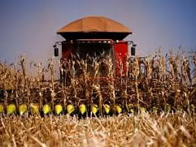 Sicoob projeta investir R$ 53,4 bi no agronegócio brasileiro para o Plano Safra 2024/25