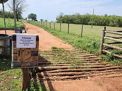 Foco de gripe aviária em Bonito preocupa exportações de frango em Mato Grosso do Sul