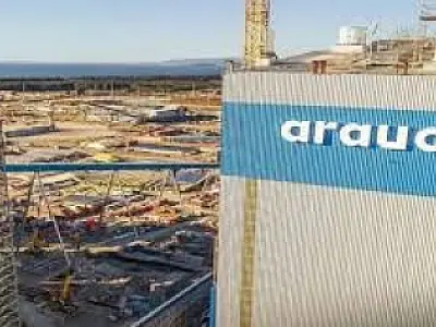 Arauco implementa rigoroso compliance para evitar calotes em obra de celulose em Inocência