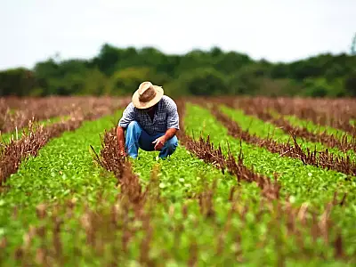 MP vai substituir projeto e permitir renegociação de dívidas de produtores rurais