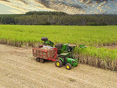 Remanejamento de R$ 162 milhões do FCO Empresarial para o Rural atende demandas do agronegócio em MS