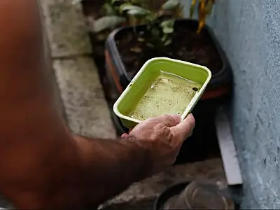 Aumento de casos de dengue em MS: Novo boletim aponta crescimento significativo