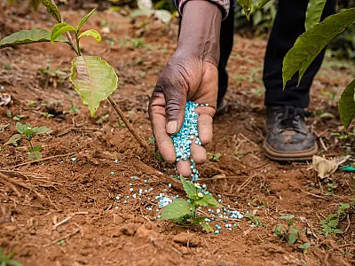Brasil pode parar sem NPK: fertilizantes viram ponto frágil do agronegócio