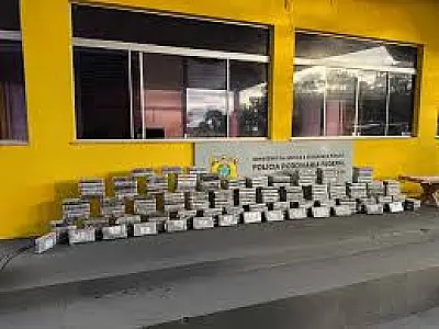 PRF intercepta 237 kg de cocaína em caminhão de mudança na BR-267