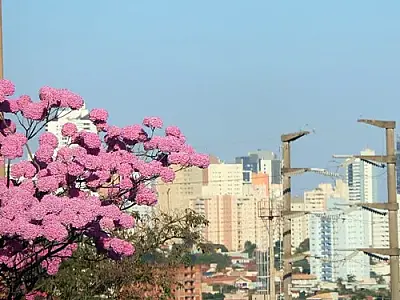 Mês de outubro se inicia com altas temperaturas e perspectiva de chuva em MS