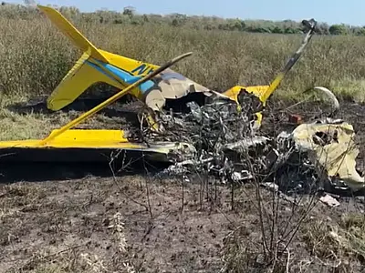 Avião bateu em árvore antes de cair e explodir, aponta investigação