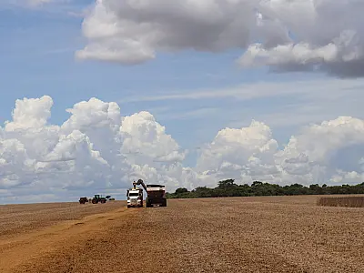 Agro lidera, e MS mantém superávit exportando US$ 2,51 bi no 1º trimestre
