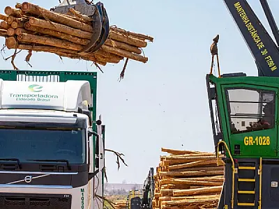 Justiça Federal de Três Lagoas assume disputa entre J&F e Paper Excellence pela Eldorado Celulose