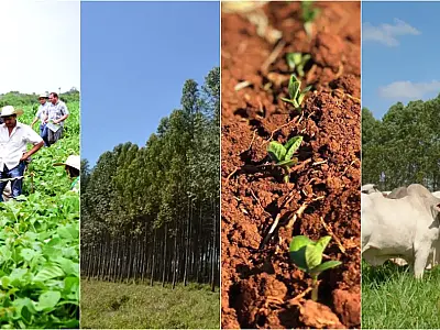 Famasul promove debate estratégico sobre perspectivas econômicas do agronegócio em MS para 2024