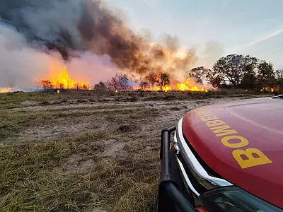 Pantanal: Oito focos de incêndio persistem após período de frio e chuva