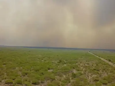 Névoa de fumaça dos incêndios no Pantanal se espalha pelo Sul do Brasil