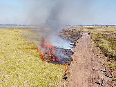 MS declara emergência ambiental pelos próximos 180 dias devido à ameaça de seca histórica