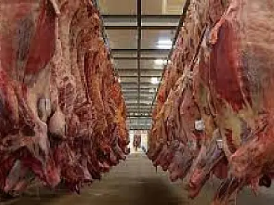 Setor de carne bovina brasileira alcança números recordes em 2024