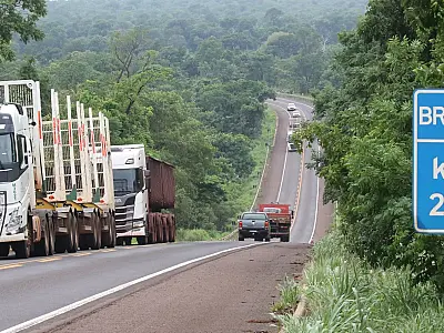 Governo federal autoriza concessão de rodovias na 'Rota da Celulose' em MS