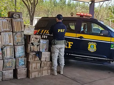 Apreensão de maconha em Três Lagoas: PRF intercepta grande carregamento em Rodovia