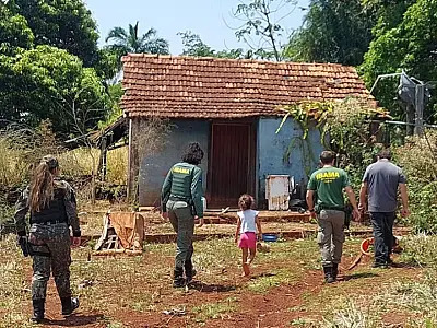 PMA descarta presença de onça na Vila Nasser, mas mantém monitoramento na região