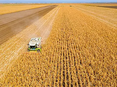 Produção agrícola em Mato Grosso do Sul deve bater recorde em 2023
