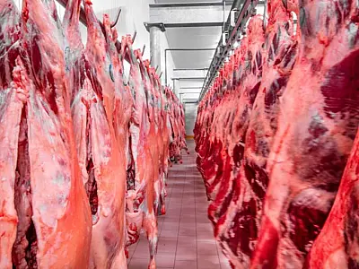 Disparo no preço da carne bovina em Mato Grosso do Sul impacta consumidores e produtores