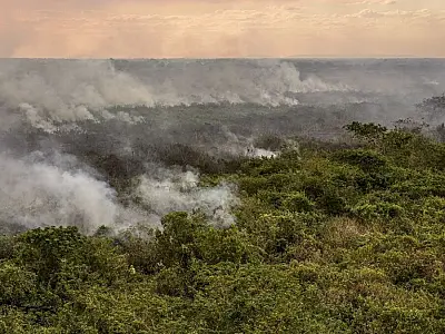 Fogo volta a atingir Pantanal em Corumbá, MS