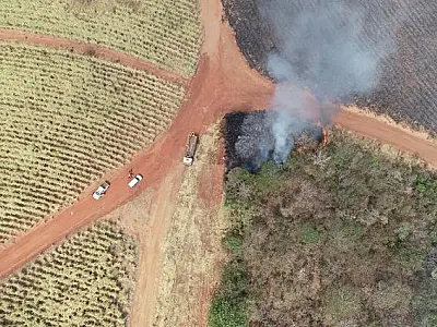 Incêndios criminosos no Pantanal devastam 486,4 mil hectares