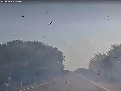 Incêndios no Pantanal causam fechamento de BR-262 e aeroporto de Corumbá