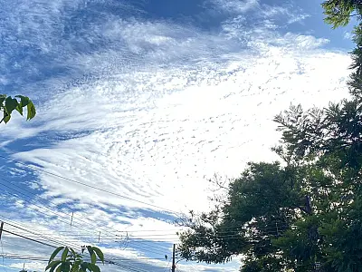 Previsão de chuvas e instabilidade climática em MS para quinta-feira