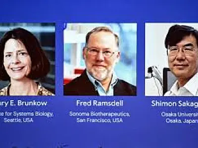Nobel de Medicina 2025 premia descobertas sobre o sistema imunológico
