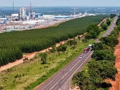 Agesul define empresa que fará obra de acesso à nova fábrica de celulose