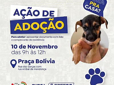 Adoção de cães e gatos será realizada neste domingo na Feira da Bolívia