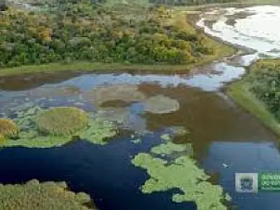 Governo de MS divulga índices do ICMS Ecológico para 2025