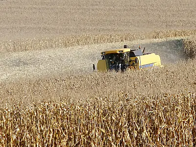 Bancos públicos fomentam o setor agropecuário brasileiro em 2024
