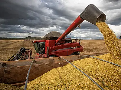 Safra Recorde: MS deve produzir 27,4 milhões de toneladas de grãos em 2024/2025